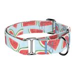 Dinnye - Kutya Félfojtó Nyakörv - april & june