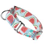 Dinnye - Kutya Félfojtó Nyakörv - april & june