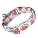 Dinnye - Kutya Félfojtó Nyakörv - april & june