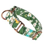 Virágzó liget - Kutya Félfojtó Nyakörv - april & june