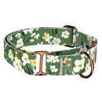 Virágzó liget - Kutya Félfojtó Nyakörv - april & june