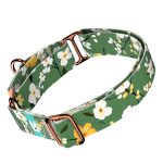 Virágzó liget - Kutya Félfojtó Nyakörv - april & june