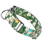 Virágzó liget - Kutya Félfojtó Nyakörv - april & june