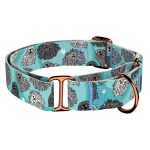 Puli, kék - Kutya Félfojtó Nyakörv - april & june