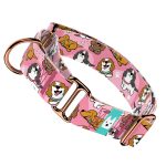 Spániel - Cavalier, rózsaszín - Kutya Félfojtó Nyakörv - april & june