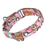 Spániel - Cavalier, rózsaszín - Kutya Félfojtó Nyakörv - april & june