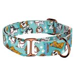 Spániel - Cavalier, kék - Kutya Félfojtó Nyakörv - april & june