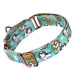 Spániel - Cavalier, kék - Kutya Félfojtó Nyakörv - april & june