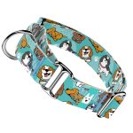 Spániel - Cavalier, kék - Kutya Félfojtó Nyakörv - april & june