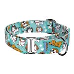 Spániel - Cavalier, kék - Kutya Félfojtó Nyakörv - april & june