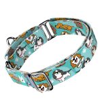 Spániel - Cavalier, kék - Kutya Félfojtó Nyakörv - april & june