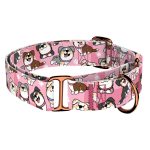 Ausztrál juhász, rózsaszín - Kutya Félfojtó Nyakörv - april & june