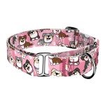 Ausztrál juhász, rózsaszín - Kutya Félfojtó Nyakörv - april & june