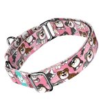 Ausztrál juhász, rózsaszín - Kutya Félfojtó Nyakörv - april & june