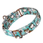 Ausztrál juhász, kék - Kutya Félfojtó Nyakörv - april & june