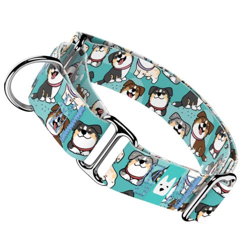 Ausztrál juhász, kék - Kutya Félfojtó Nyakörv - april & june