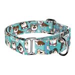 Ausztrál juhász, kék - Kutya Félfojtó Nyakörv - april & june