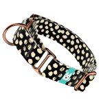 Bézs foltok fekete alapon - Kutya Félfojtó Nyakörv - april & june