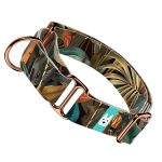 Indián nyár - Kutya Félfojtó Nyakörv - april & june