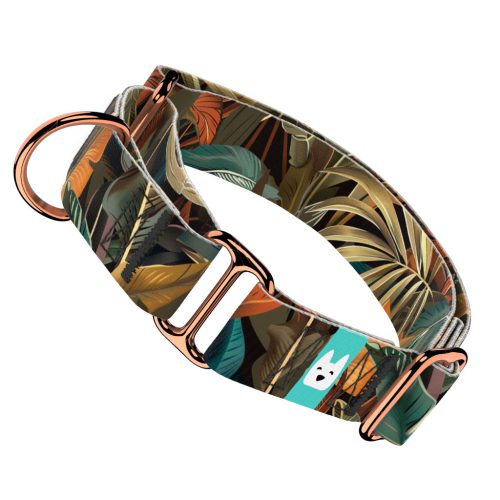 Indián nyár - Kutya Félfojtó Nyakörv - april & june