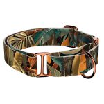 Indián nyár - Kutya Félfojtó Nyakörv - april & june