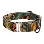 Indián nyár - Kutya Félfojtó Nyakörv - april & june