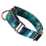 Zöld galaxis - Kutya Félfojtó Nyakörv - april & june