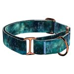 Zöld galaxis - Kutya Félfojtó Nyakörv - april & june