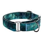 Zöld galaxis - Kutya Félfojtó Nyakörv - april & june