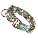 Téli fenyves - Kutya Félfojtó Nyakörv - april & june