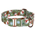 Téli fenyves - Kutya Félfojtó Nyakörv - april & june