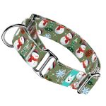 Téli fenyves - Kutya Félfojtó Nyakörv - april & june