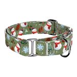 Téli fenyves - Kutya Félfojtó Nyakörv - april & june