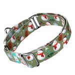 Téli fenyves - Kutya Félfojtó Nyakörv - april & june