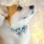 Happy Snowman - Bow tie - april & june