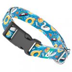 Balatoni nyár - Kutya Nyakörv - april & june