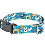 Balatoni nyár - Kutya Nyakörv - april & june