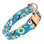 Balatoni nyár - Kutya Nyakörv - april & june