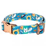 Balatoni nyár - Kutya Nyakörv - april & june