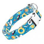 Balatoni nyár - Kutya Nyakörv - april & june