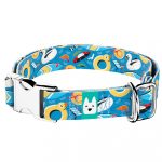 Balatoni nyár - Kutya Nyakörv - april & june