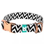 Fekete-fehér cikcakk - Kutya Nyakörv - april & june