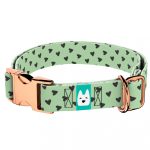 Szivecskés, zöld - Kutya Nyakörv - april & june