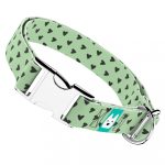 Szivecskés, zöld - Kutya Nyakörv - april & june