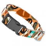 Őszi hangulat - Kutya Nyakörv - april & june