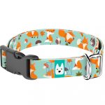 Róka mintás, zöld - Kutya Nyakörv - april & june