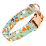 Róka mintás, zöld - Kutya Nyakörv - april & june