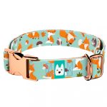 Róka mintás, zöld - Kutya Nyakörv - april & june