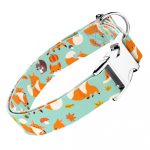 Róka mintás, zöld - Kutya Nyakörv - april & june