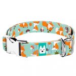 Róka mintás, zöld - Kutya Nyakörv - april & june